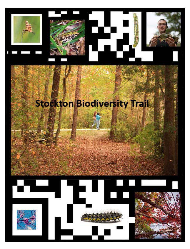 Biodiversity_Brochure_2015_Page_01