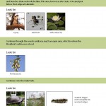 Biodiversity_Brochure_2015_Page_04