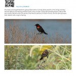 Biodiversity_Brochure_2015_Page_09