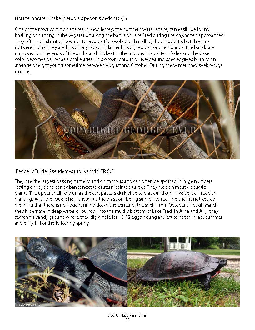 Biodiversity_Brochure_2015_Page_12