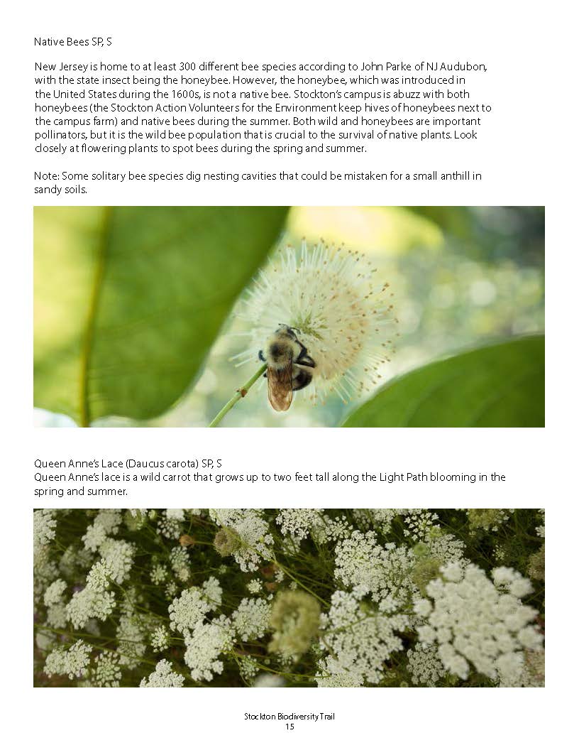 Biodiversity_Brochure_2015_Page_15