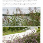 Biodiversity_Brochure_2015_Page_16