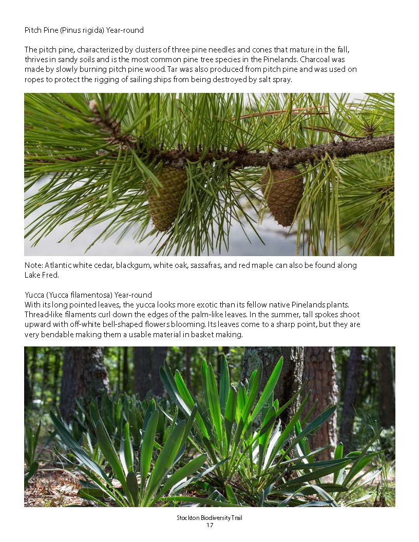 Biodiversity_Brochure_2015_Page_17