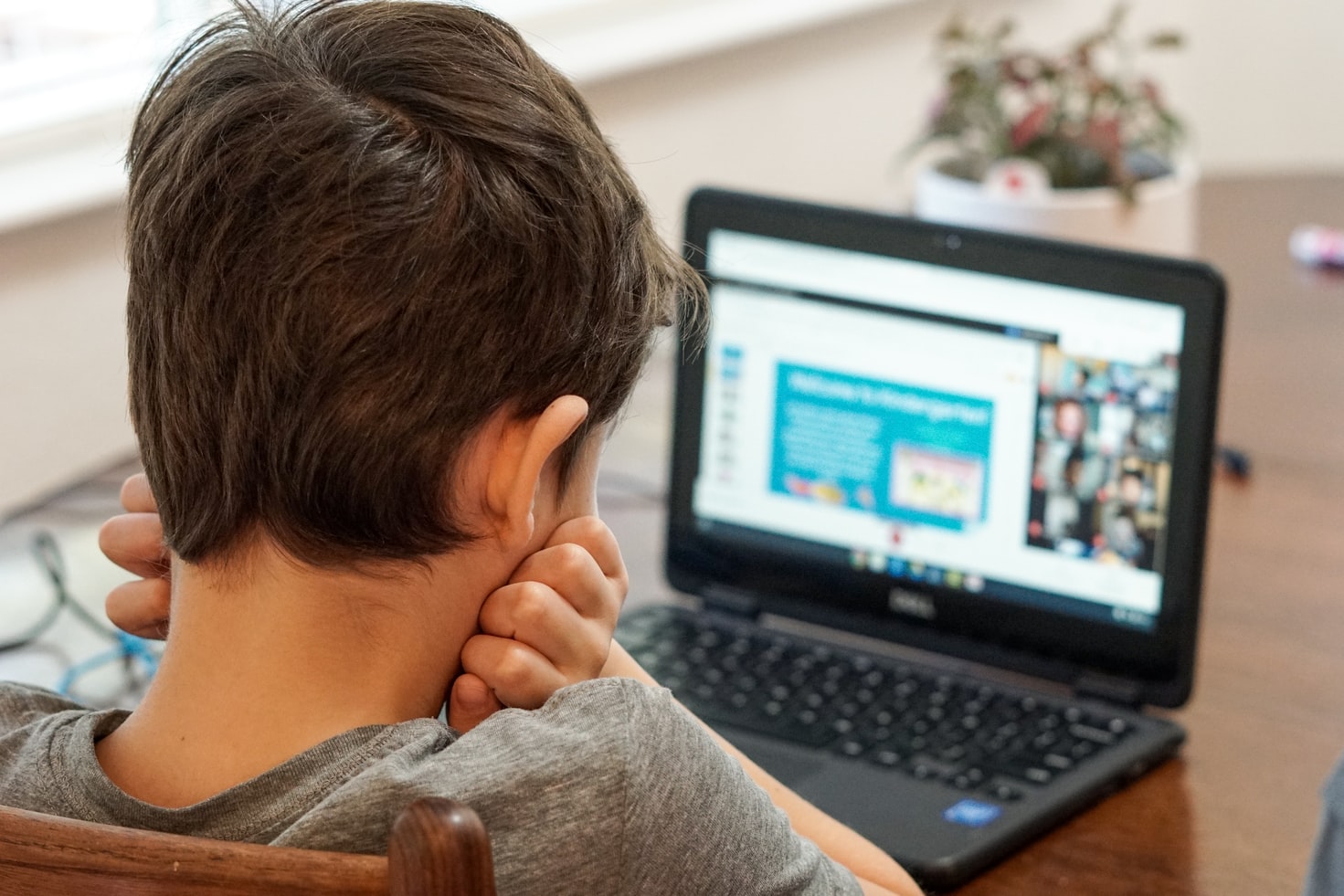 [Image description: a young boy learning at a laptop.] Via Unsplash.